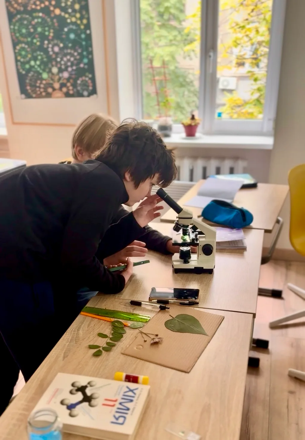 Дослідницька робота учнів у біологічній лабораторії школи Домініон: робота з мікроскопом